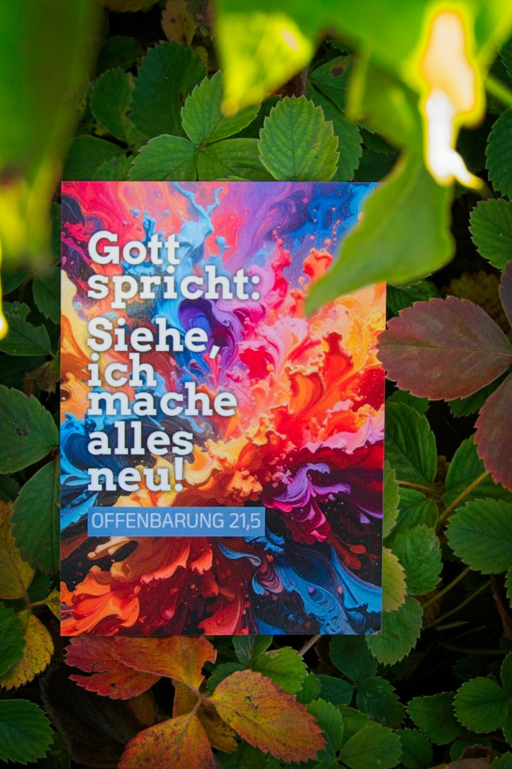 Karte A6 Jahreslosung 2026 - "Siehe, ich mache alles neu" - Farbexplosion
