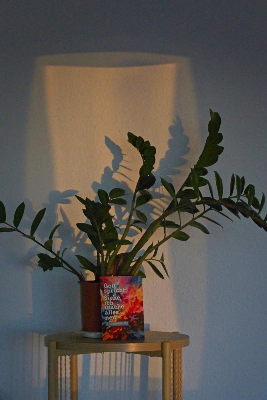 Karte A6 Jahreslosung 2026 - "Siehe, ich mache alles neu" - Farbexplosion