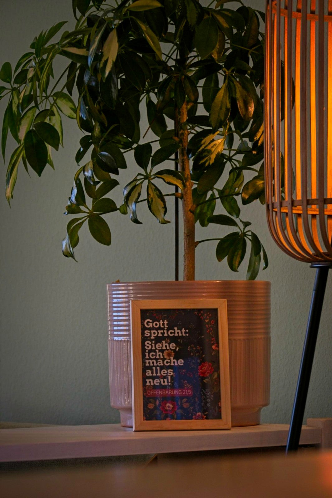 Karte A6 Jahreslosung 2026 - "Siehe, ich mache alles neu" - Florales Muster