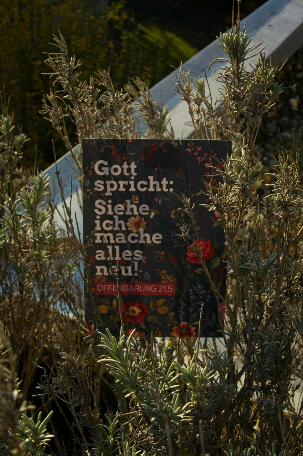 Karte A6 Jahreslosung 2026 - "Siehe, ich mache alles neu" - Florales Muster